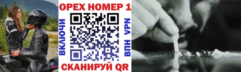 COCAIN Fish Scale МЕГА как войти Грязи