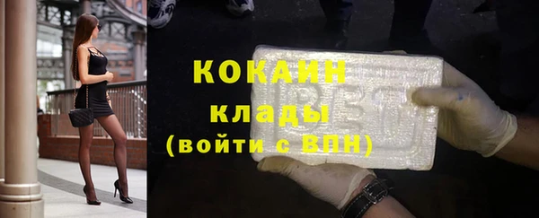 прущие грибы Абинск