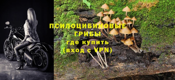 каннабис Алексеевка