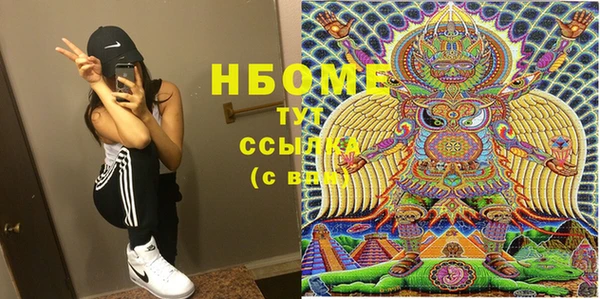 прущие грибы Абинск