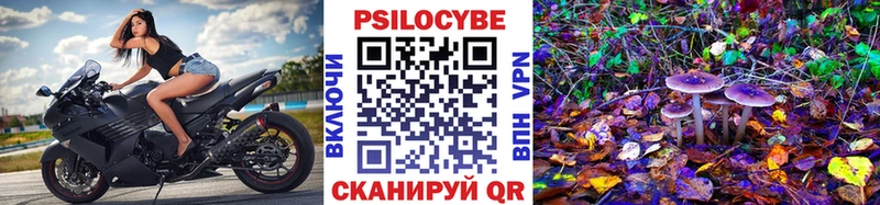 Галлюциногенные грибы Cubensis  где можно купить наркотик  Грязи 